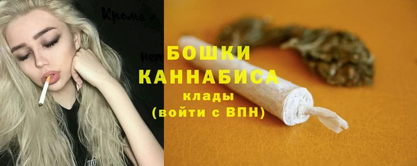 крисы Михайловск