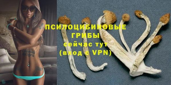 прущие крисы Михайловка