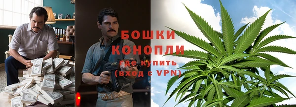 крисы Михайловск