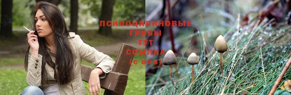 крисы Михайловск