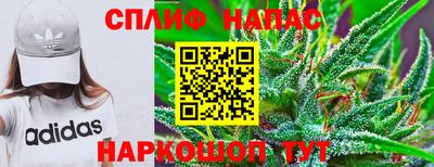 гидропоника Берёзовский