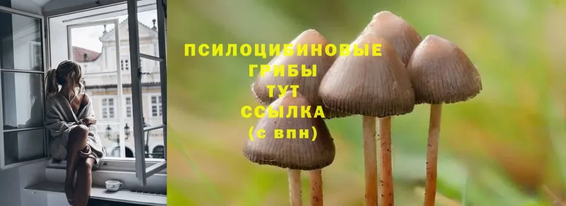 Галлюциногенные грибы Magic Shrooms  OMG зеркало  Ярославль 