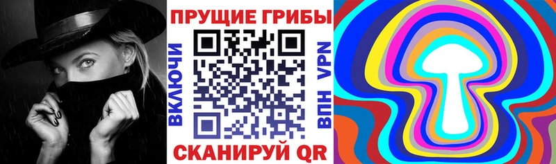 наркошоп  Ярославль  Псилоцибиновые грибы прущие грибы 