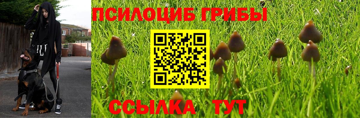 Галлюциногенные грибы ЛСД  Вход с VPN  Ярославль 