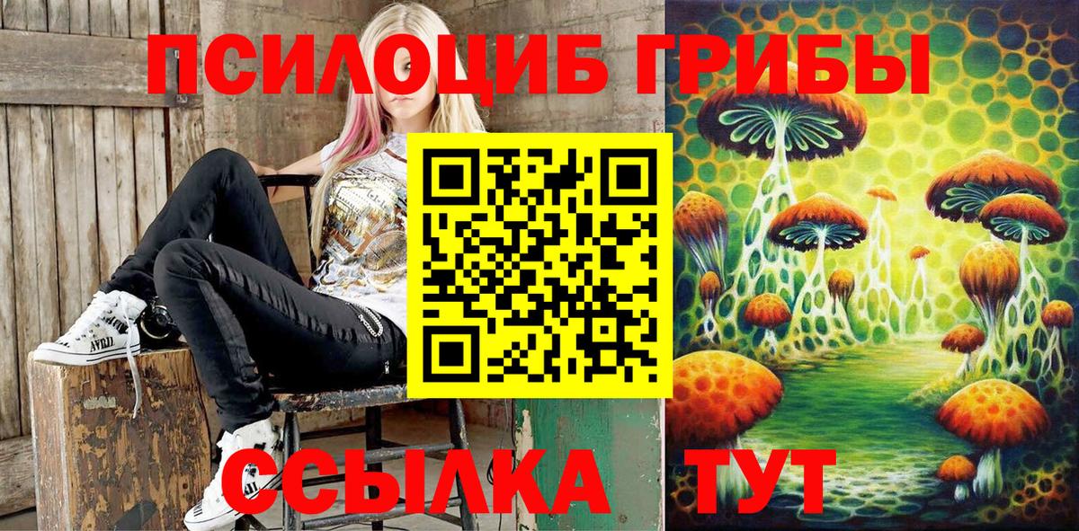 Псилоцибиновые грибы MAGIC MUSHROOMS Ярославль